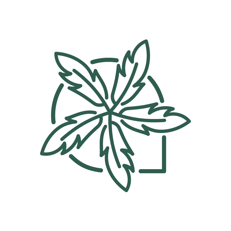 Ateliers d’écriture hebdomadaires En Ariège